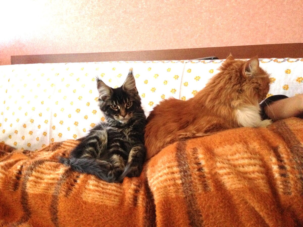 Это я маленький и самый старший - Феня.