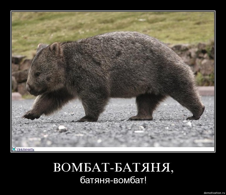 ФОТО ВЗЯТО ИЗ ИНТЕРНЕТА