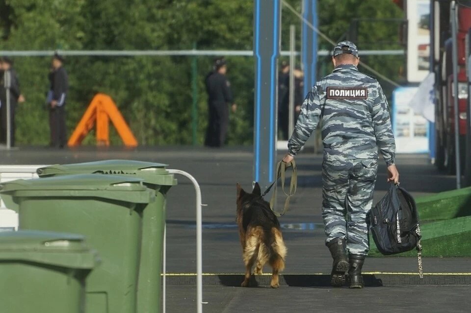 Кинологи и взрывотехники обыскали школу, но бомбу не нашли.                                  Фото: Архив "КП"Фото: Алексей БУЛАТОВ