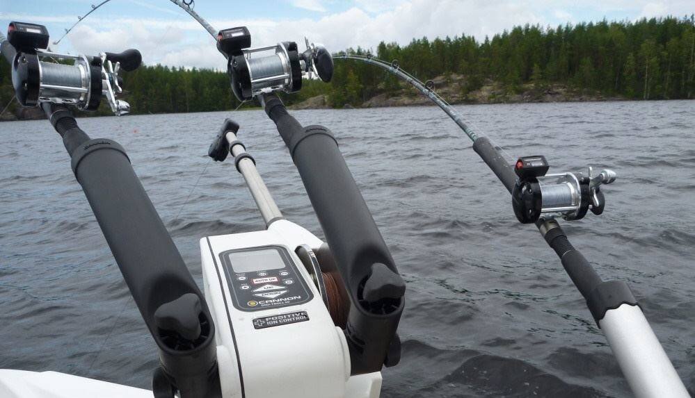 Фото из картинок Яндекс