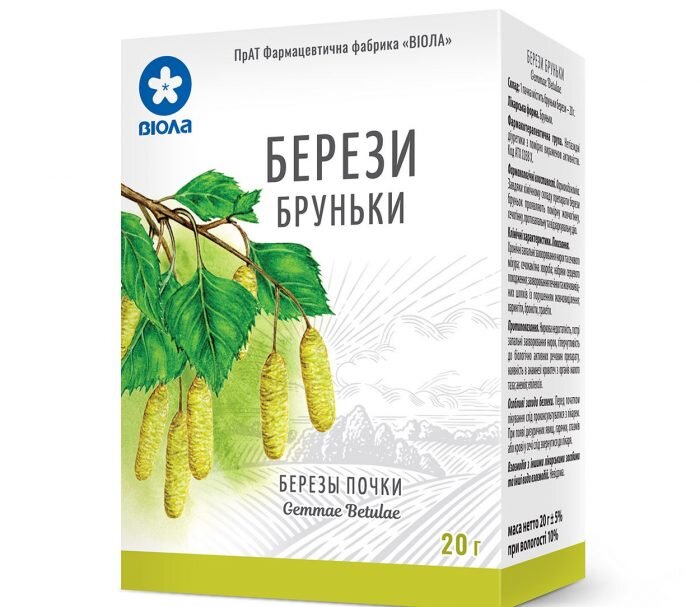 Березовые почки можно купить в аптеке или заготовить самостоятельно