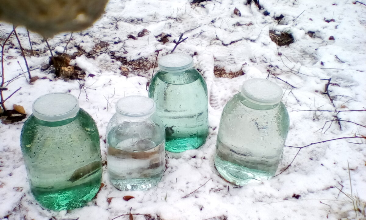 Первый день сбора