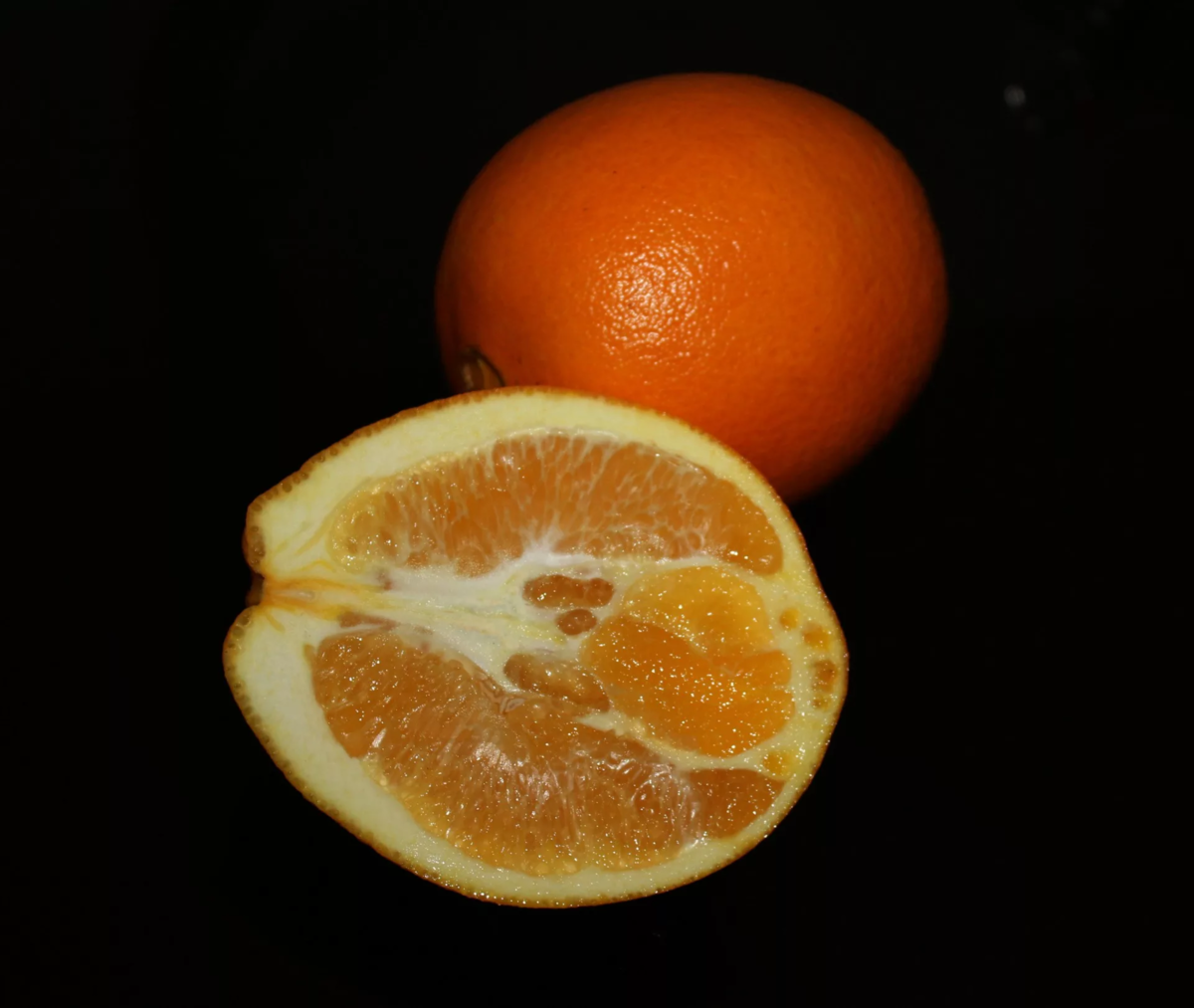 Апельсин в какое время есть. Апельсин мандарин грейпфрут. Грейпфрут и Клементин. Апельсины сорт Вашингтон. Гибрид апельсина и грейпфрута.