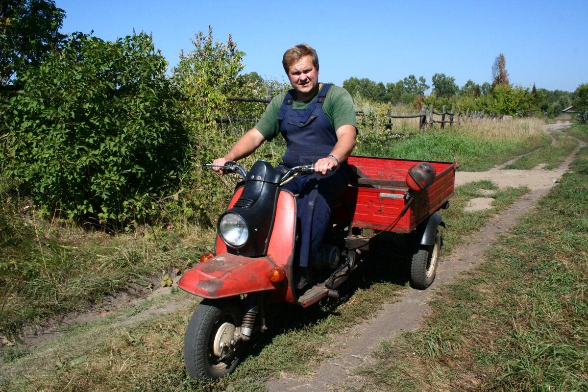 Иллюстрации с Википедии 