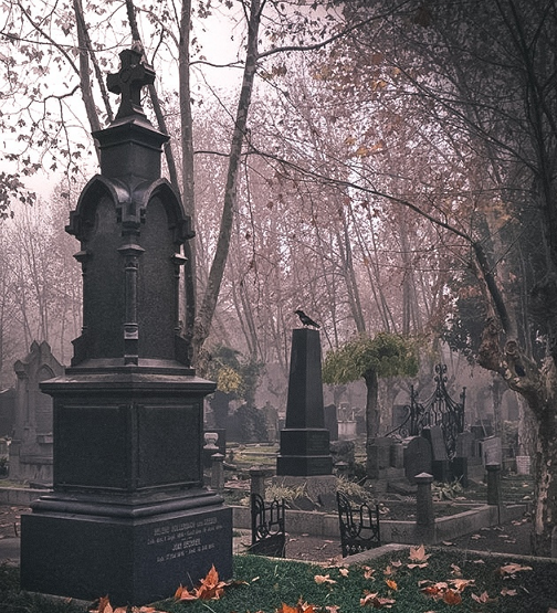 Как вдруг единственный ворон, который всё время сидел на дереве около нашей могилы, стал истошно каркать, а потом и вовсе улетел. Деревья, которые находились на кладбище, стали шуметь и гнуться чуть не до земли...