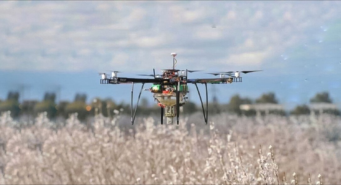 Взято в Яндекс картинках. 