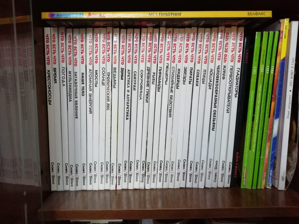 Моя книжная полка книг серии "Что есть что" дома у родителей