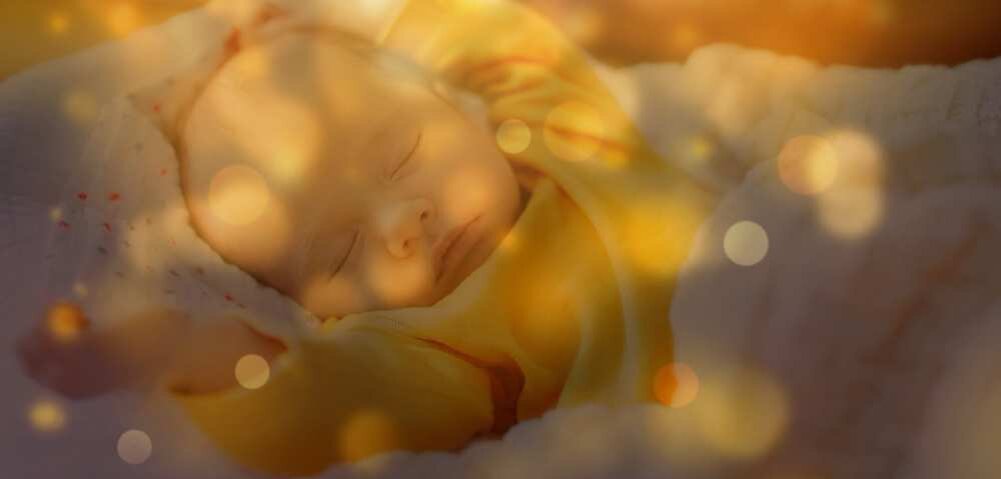 Фотография взята из Яндекс.Коллекция 