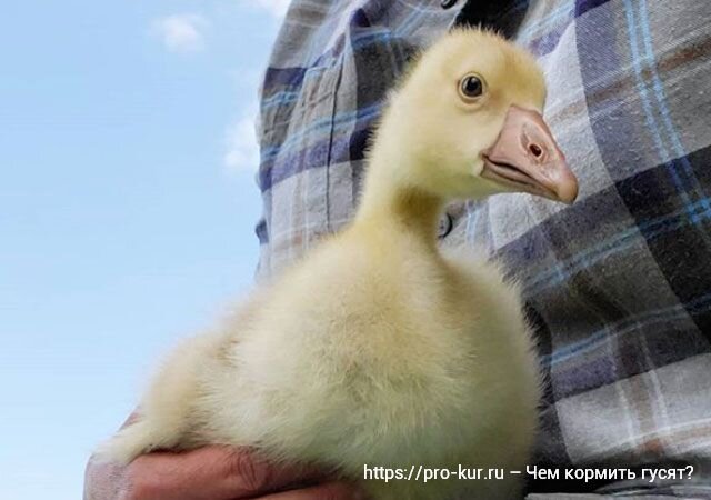 Видео с полезными рекомендациями