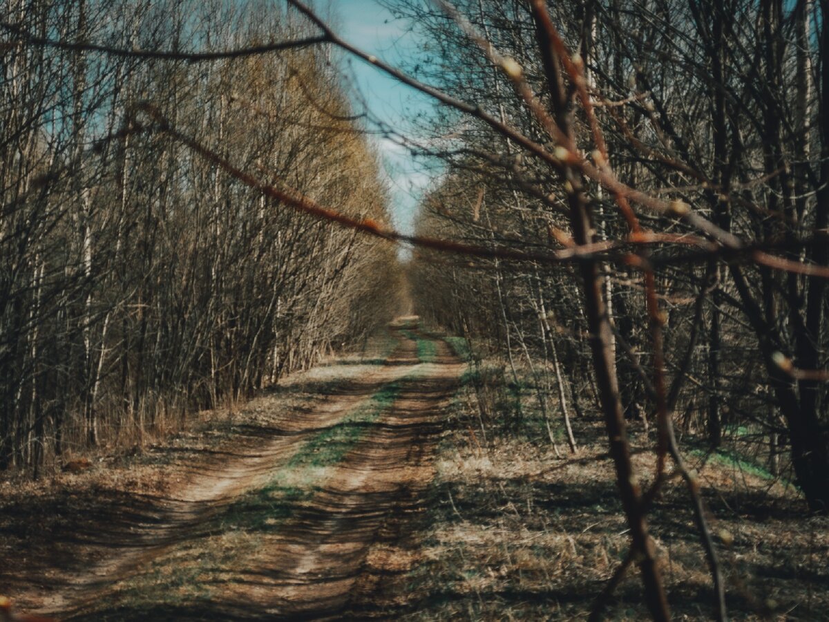 Старый тракт.