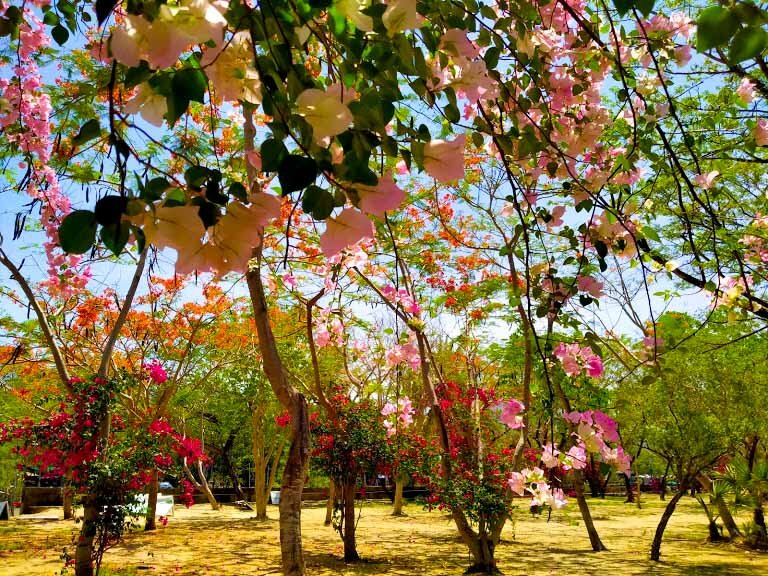 Фото из личного архива