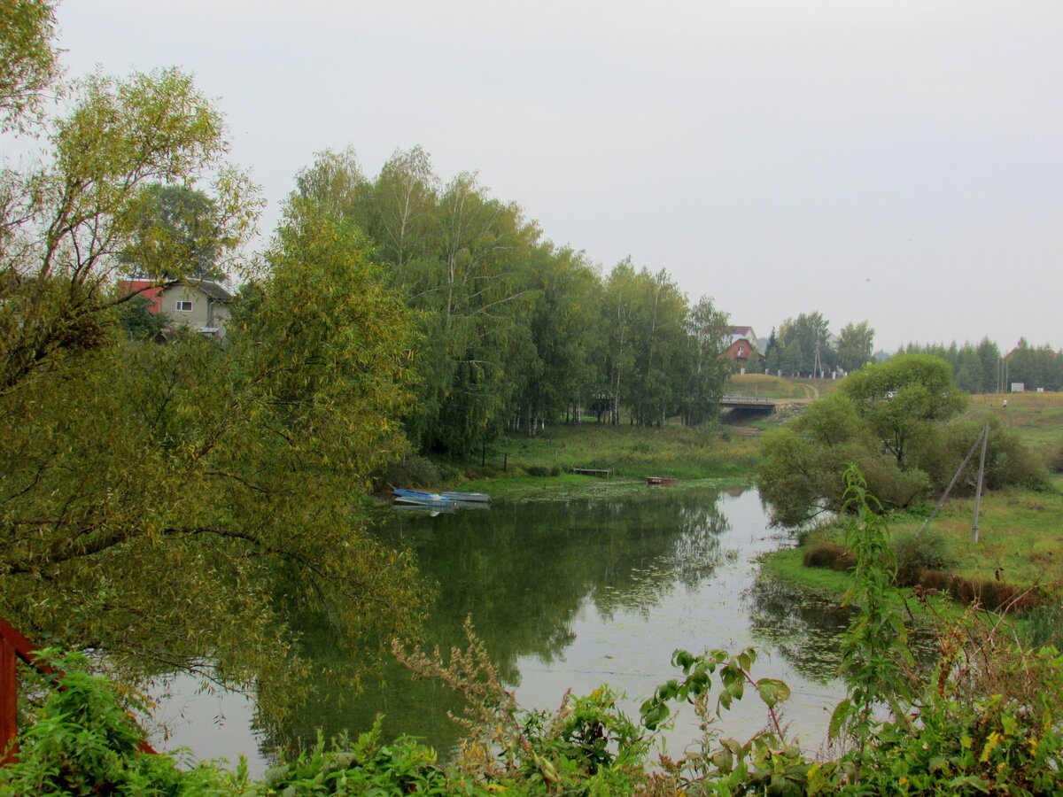 Диево-Городище. Река Шиголость. Фото Эна https://www.tourister.ru