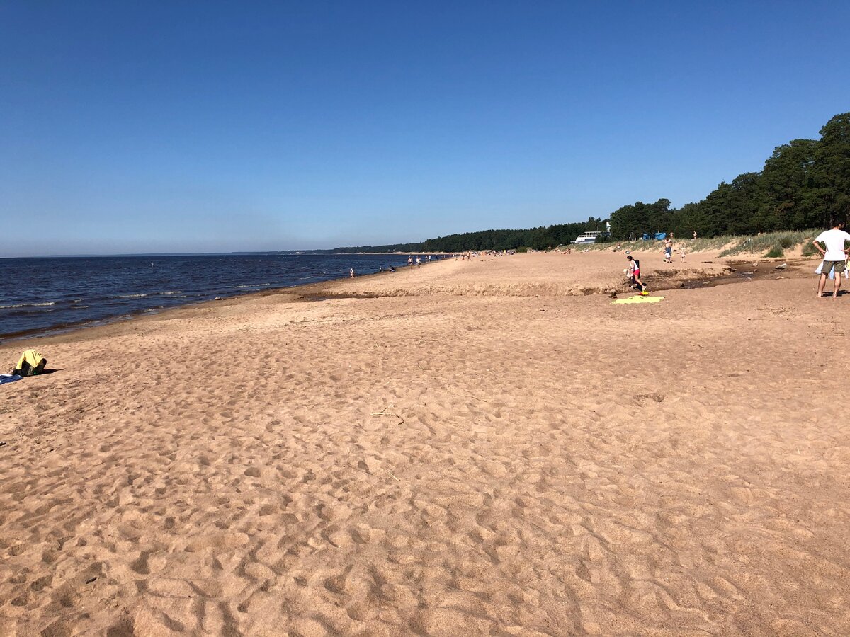 поселок комарово санкт петербург