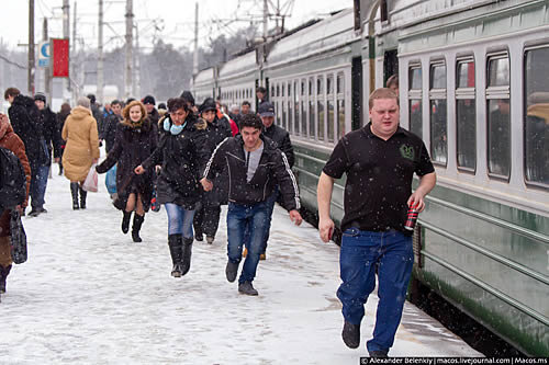 Зайцы в подмосковных электричках. Фото сайта poezd.drezna.ru