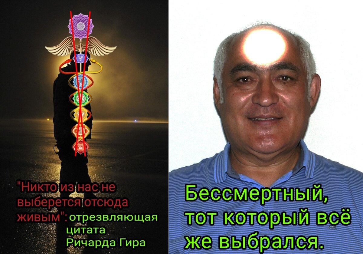 Это автор, аватар, писатель и есть.