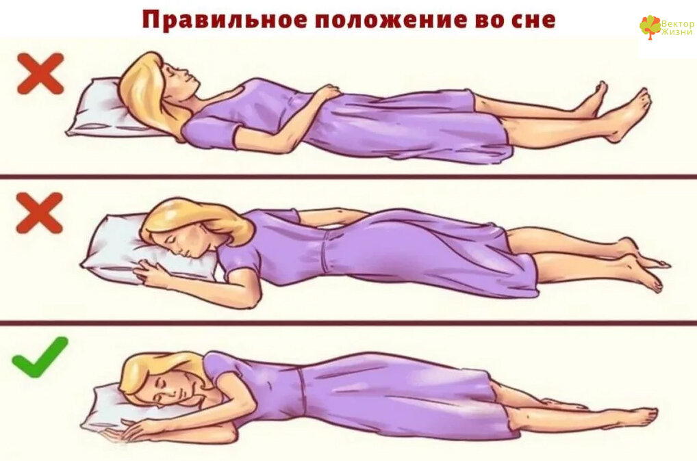 Картинка взята из поисковой системы Яндекс картинки.