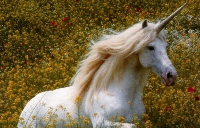 Фото https://kulturologia.ru/files/u8921/bible-t-19.jpg