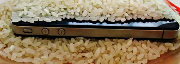 Спасаем промокший мобильник | ЛяЛя Северная | Дзен