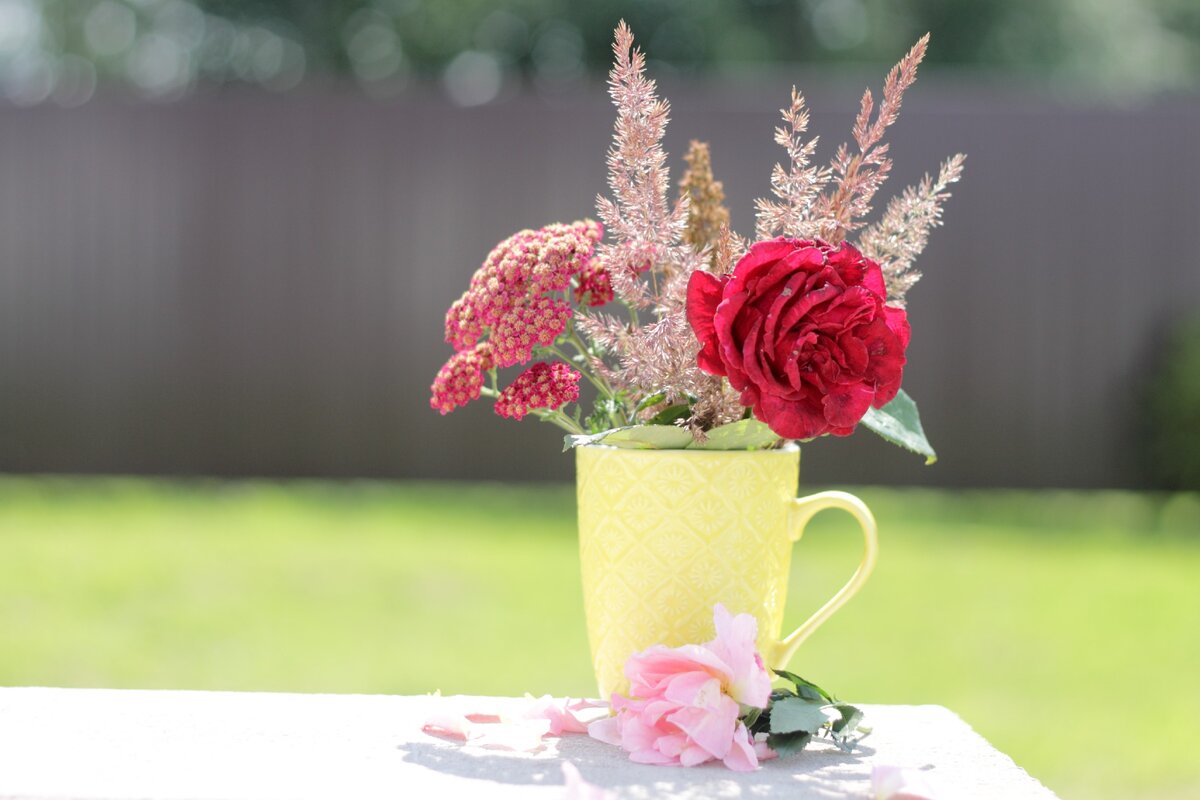 Лето. Фото из моего сада. Листайте галерею