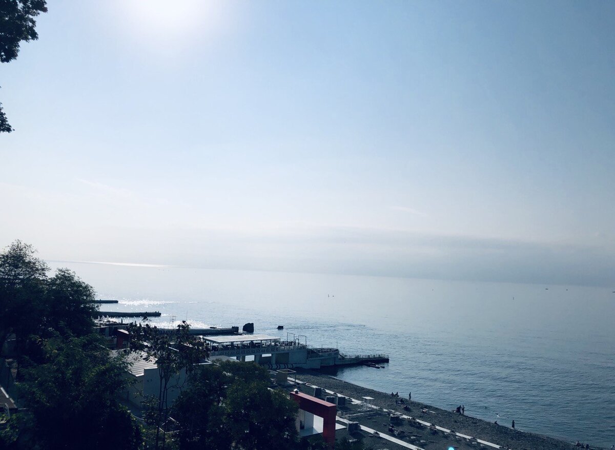 Фото из моего архива. Сочи, ноябрь 2020