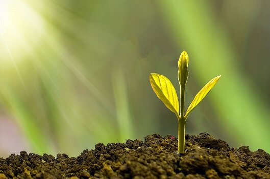 Успех любит тишину