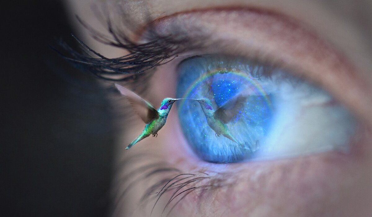 ThomasWolter /pixabay