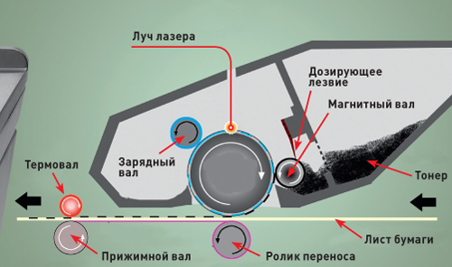 После заправки что делать. Магнитный вал лазерного принтера. Строение лазерного картриджа. Лазерный принтер вал проявки. Магнитный вал лезвие.