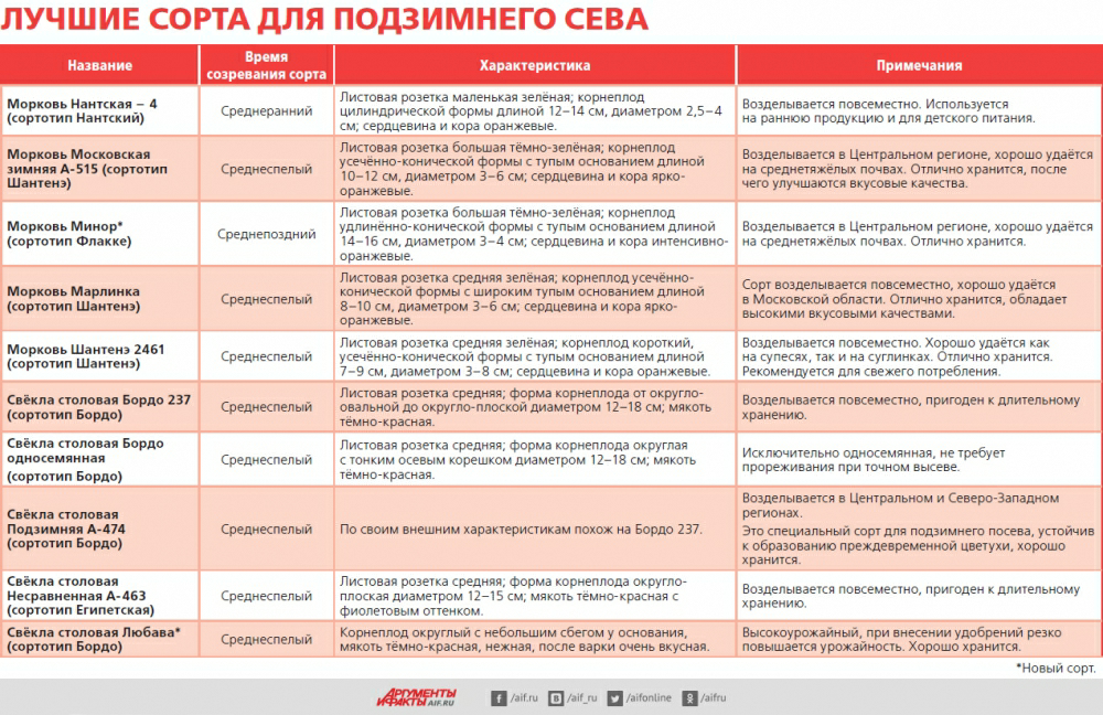 Когда копать морковь и свеклу в сибири. Подзимняя посадка моркови и свеклы. Сорта моркови таблица. Сроки посева моркови. Когда сажать морковь и свеклу.