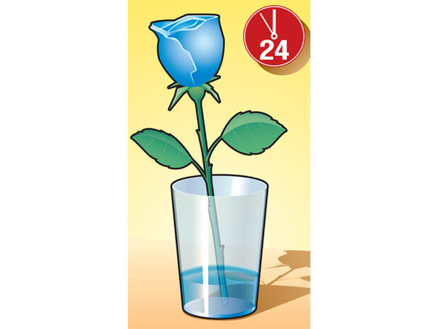 -1-3