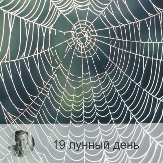 Подписывайтесь и ставьте 👍
19-ый лунный день с 18:55 30-ого по 20:22 31-ого. 🔆Время, когда легко попасть в сети зла.
🕷 Символа дня – паук, сеть.
🎂 Люди, рождённые в этот лунный день, бывают двух видов. Первые, идущие по высшему пути, воины-одиночки с чистой душой, они несут в мир свет и добро, увидеть которые могут только такие же чистые души. Люди, идущие по низшему пути развития, коварны, любят строить козни, получают удовольствие от интриг и пытаются затащить других в свои сети.
💍 Камни - гематит, хризолит.
🌚 Энергетически тяжёлый день, в который велика опасность поддаться наваждению и попасть под влияние энергетических вампиров. Будьте бдительны, сведите любые коммуникации к минимуму, не совершайте принципиально важных поступков и не выясняйте отношения — сегодня это ни к чему хорошему не приведёт.
✅ Рекомендуемые практики: прощение и очищение.
Очень полезно в эти лунные сутки заняться уборкой и очищением — дома, души, тела... Желательно, зажечь свечу и мысленно покаяться в прошлых грехах.
❌Запрещено: гордыня, ссоры, обязательства
Нельзя ругаться, проявлять гордыню, отдавать долги и брать взаймы. Иначе можно попасть в неприятную историю, выбраться из которых будет нелегко, то есть попадёте в сети. Нельзя заключать договоры и позволять опутывать себя обязательствами. Как правило, в этот день поступает много предложений, но это ловушка. Но и самому нельзя накидывать сеть на других: не возлагайте на окружающих никаких обязательств – ни устных, ни письменных.
⭕️Уязвимые органы: прямая кишка.
Сегодня будет хорошо почиститься голоданием.
⚠️ Знак:
Если сегодня случились проблемы с пищеварением или приступ аппендицита, значит вы несёте в себе много вредных помыслов, и необходимо заняться очищением души.
💤Сны бессмысленны, не обращайте на них внимания.