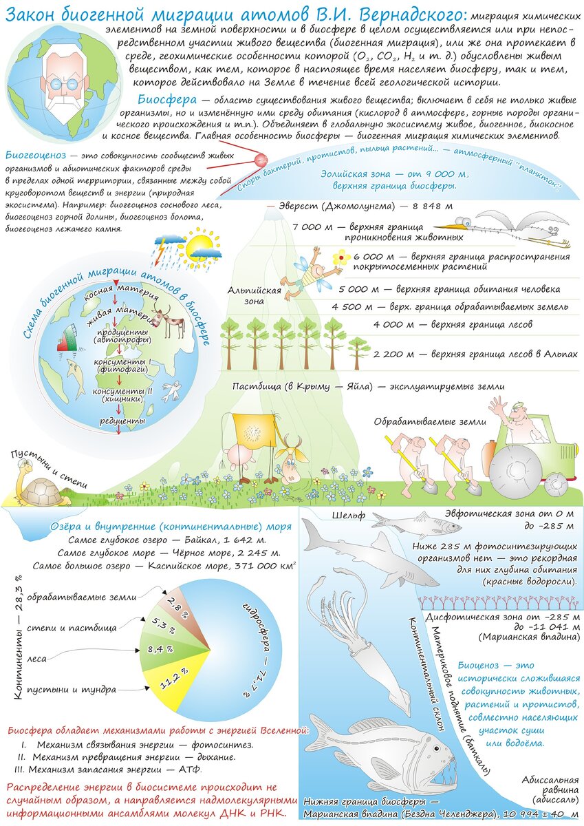 Строение биосферы и закон биогенной миграции атомов
