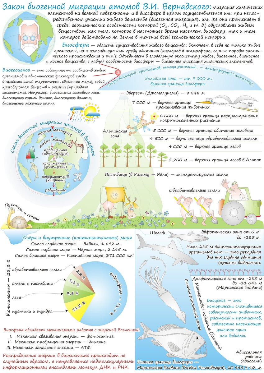 Ноосфера | Чердак А.Б. Репетитор по биологии и химии. | Дзен