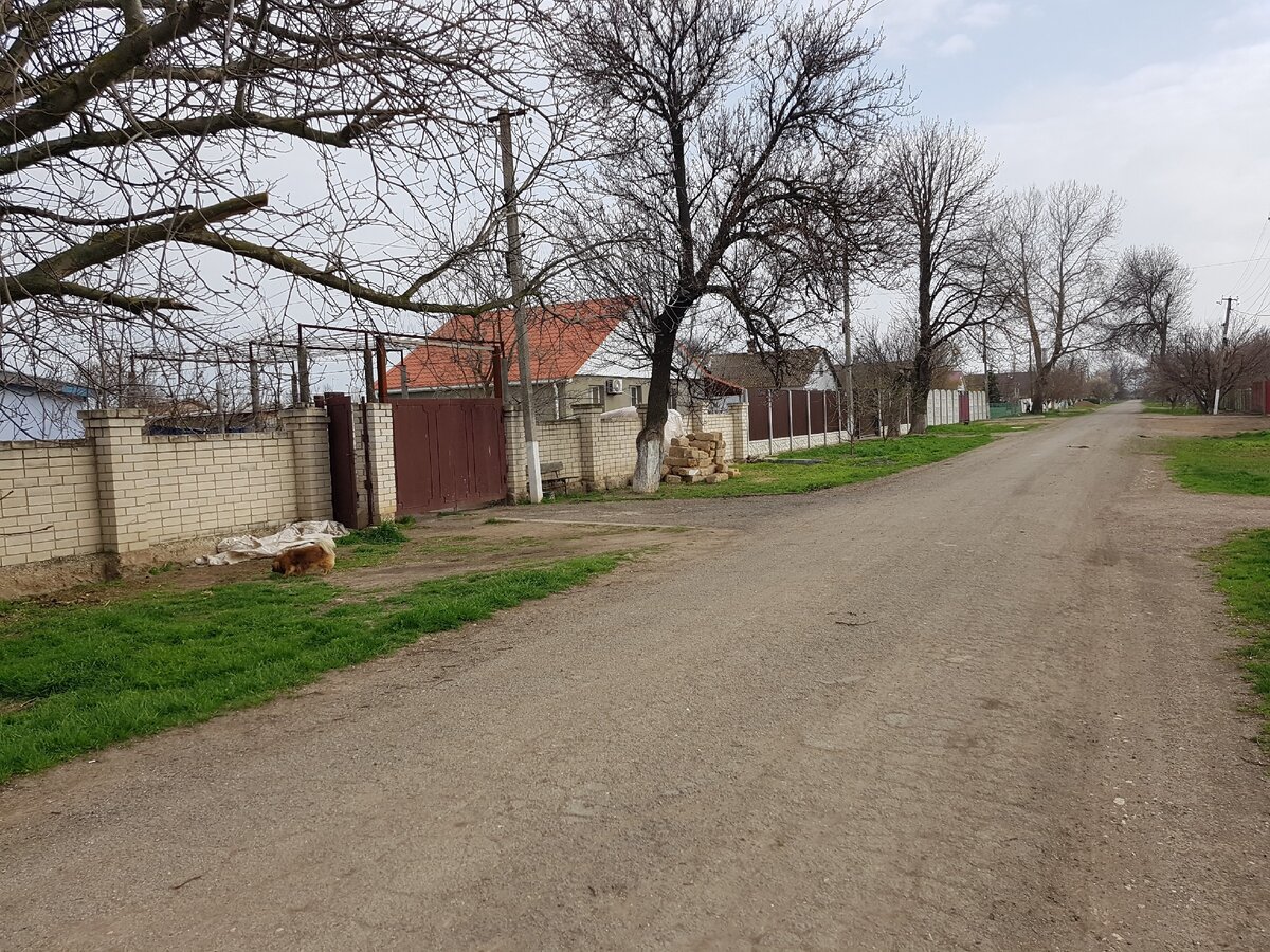 Развитое крымское село в глубинке. Для неспешной деревенской жизни. До моря  80 км. Дома продают по 500 тыс. руб. | Добрый Крым. | Дзен