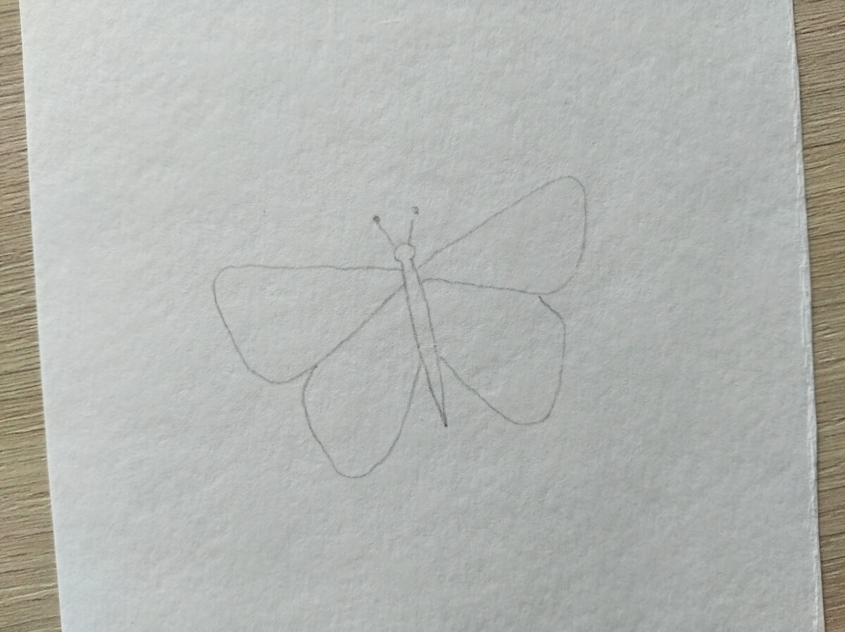 Как нарисовать бабочку карандашом для начинающих поэтапно