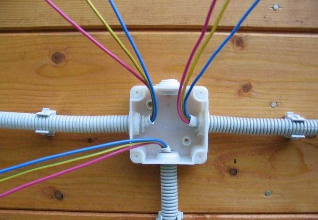 Фотография взята из источника sense-life.com