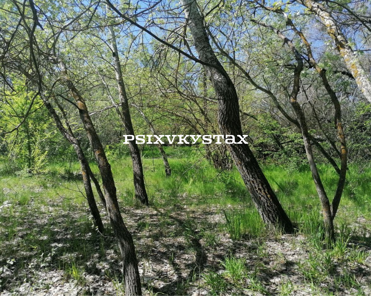 Фото из личного архива