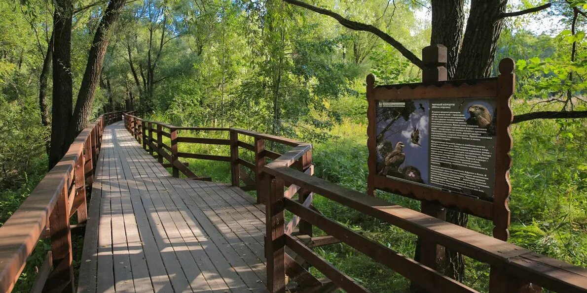 Moscow trail. Серебряный Бор Москва экотропа. Эко тропа в Серебряном Бору. Экотропа у озера бездонного в Серебряном Бору. Заказник теплый стан экотропа.