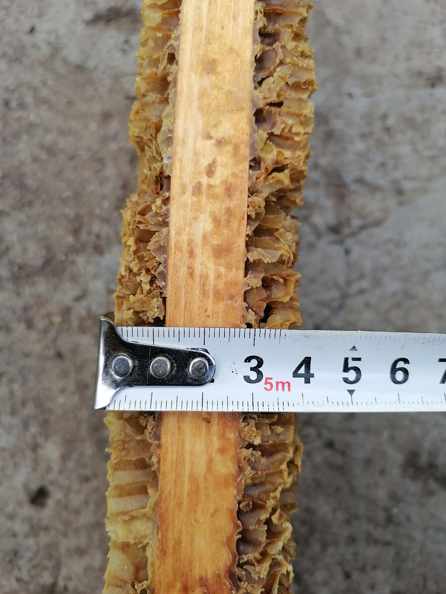 Раздутая магазинная сушь. Фото автора