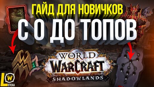 ПОЛНЫЙ ГАЙД ДЛЯ НОВИЧКОВ WOW SHADOWLANDS КАК ИГРАТЬ В world of warcraf wow 9.0