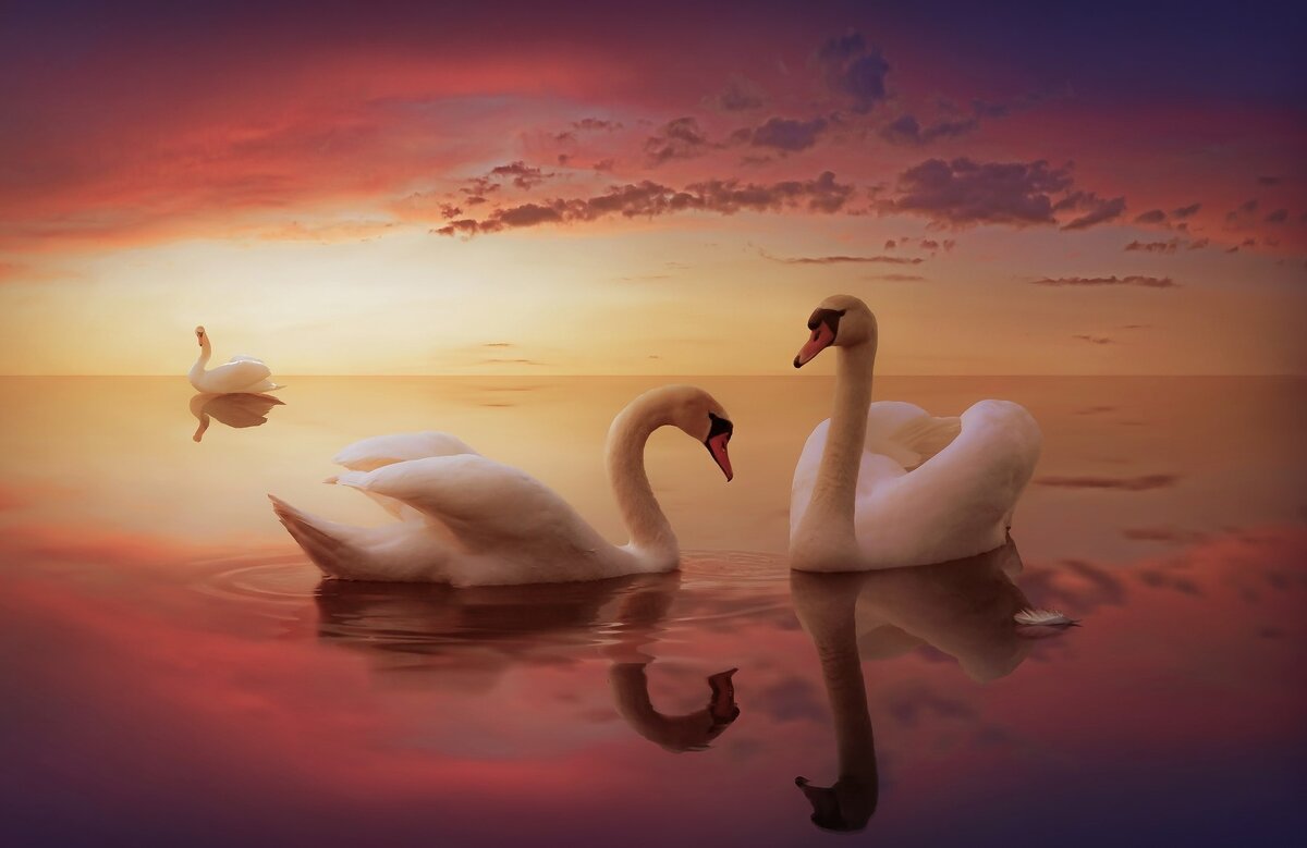 Источник https://fishki.net/mix/1935719-.html?utm_source=aab&sign=348448995511189%2C229120892242784