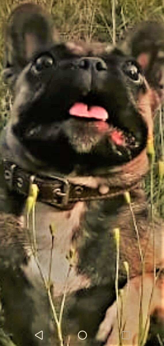 Вечный бесеныш.