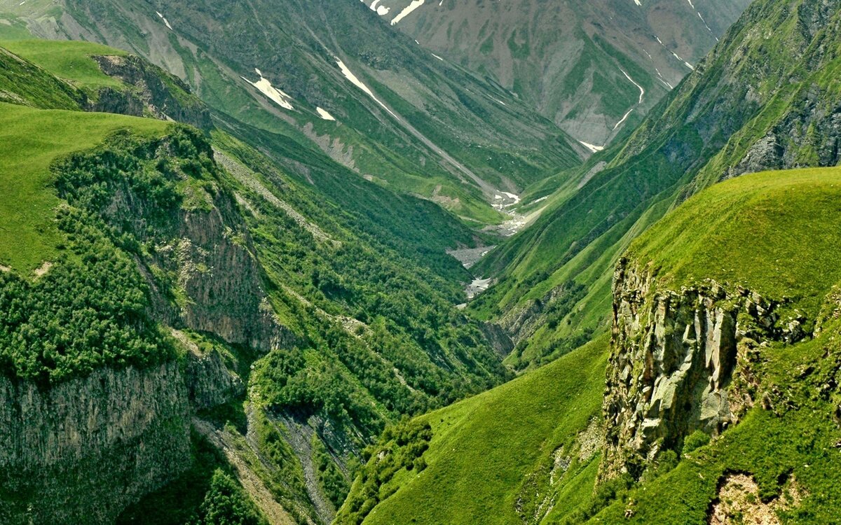 Фотография взята из открытого источника