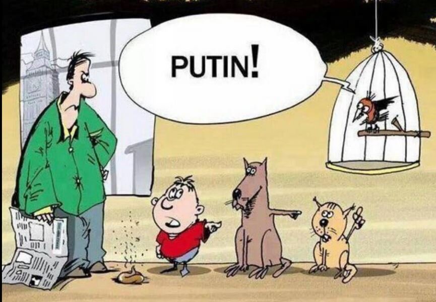Как так получилось, что наш президент влияет абсолютно на всё? 