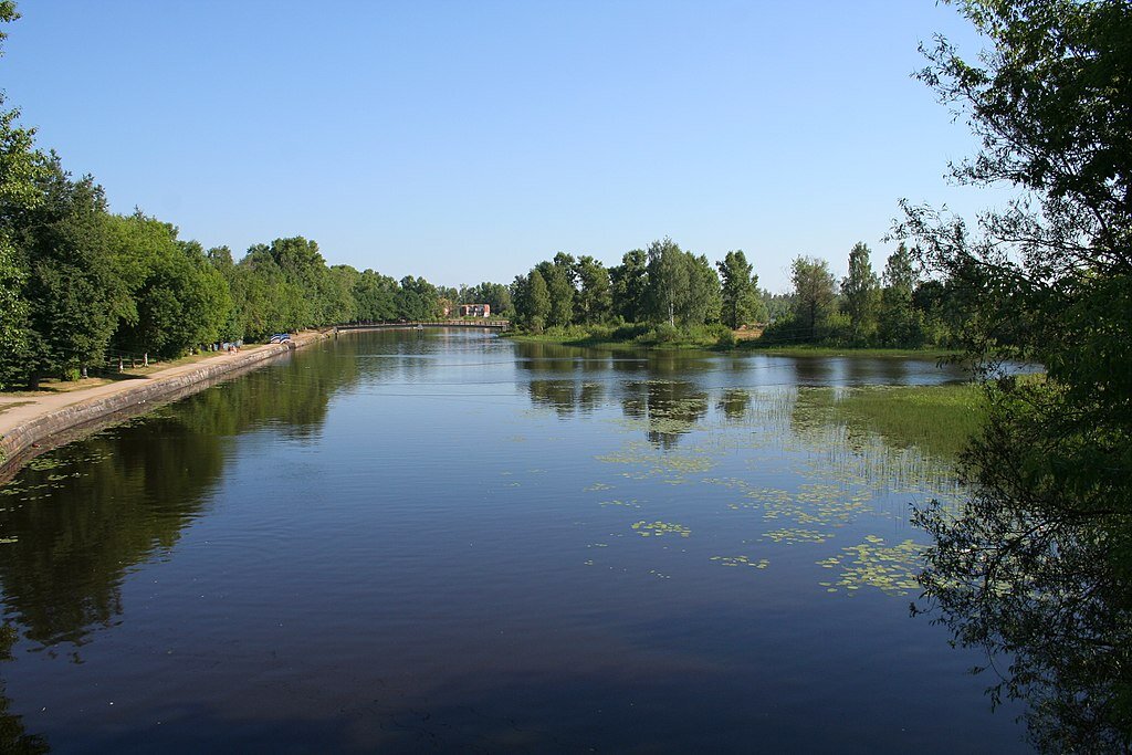 река Цна в Тверской области (фотография из Википедии)
