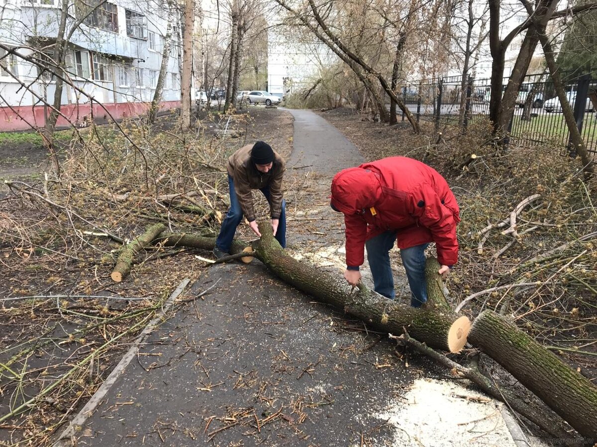 Эко-мастерская в старом гараже за 45 000 рублей. Как мы с мужем спасаем  природу и делаем эстетичные вещи | Партнеркин | Дзен