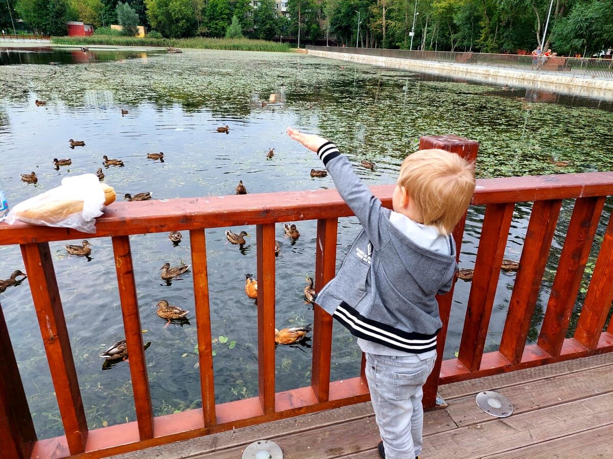 Будущая чья-то половинка... Фото-архив автора