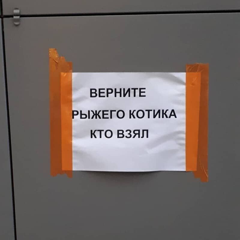 взято с открытых источников 