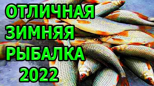 Зимняя рыбалка 2024 - видео новинки