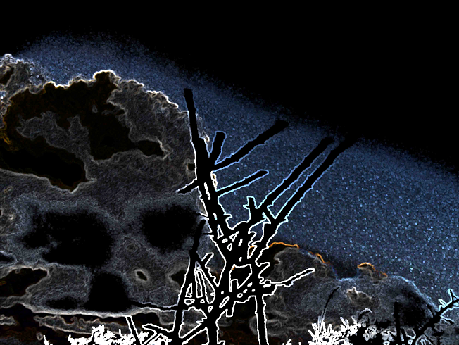 Ветка, небо. Фото автора.