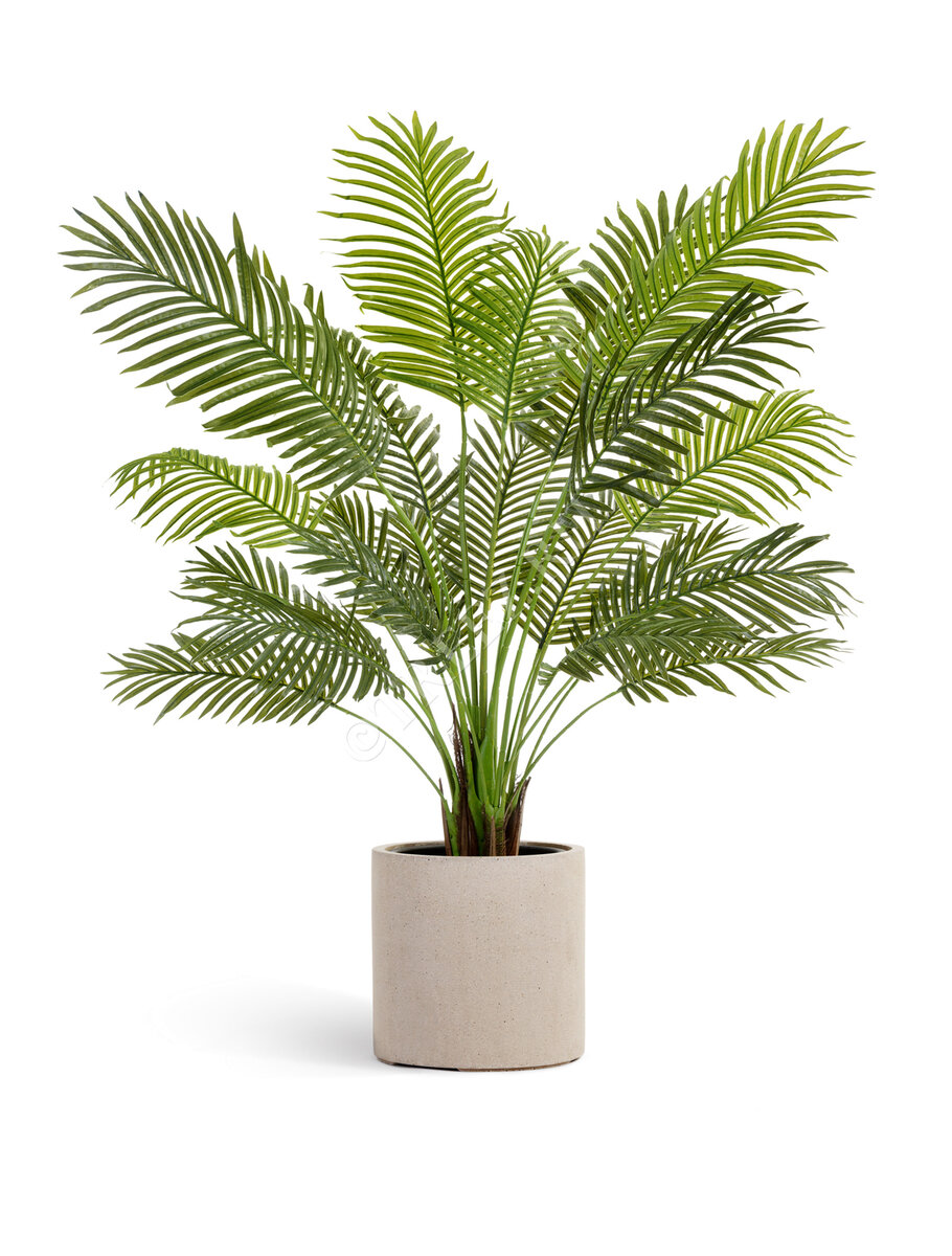 Искусственные пальмы и кашпо Treez Collection